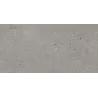 Venetian gris
